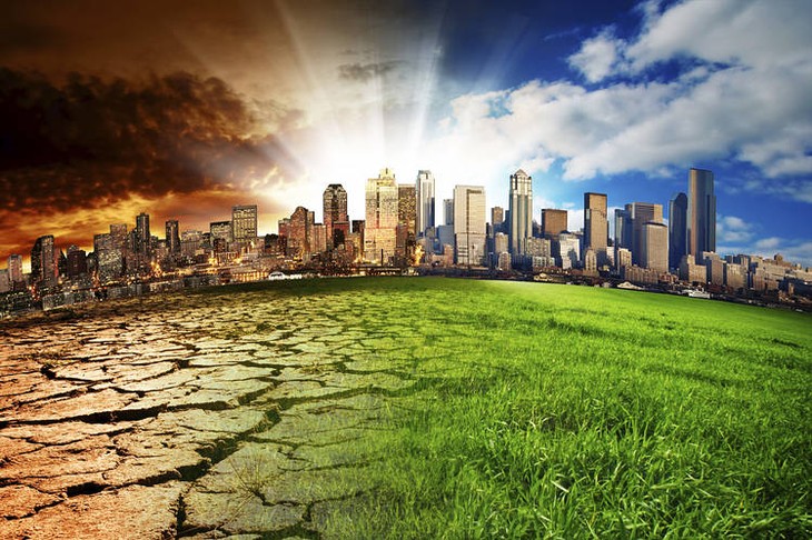 “一个星球”气候行动融资峰会在巴黎举行 - ảnh 1