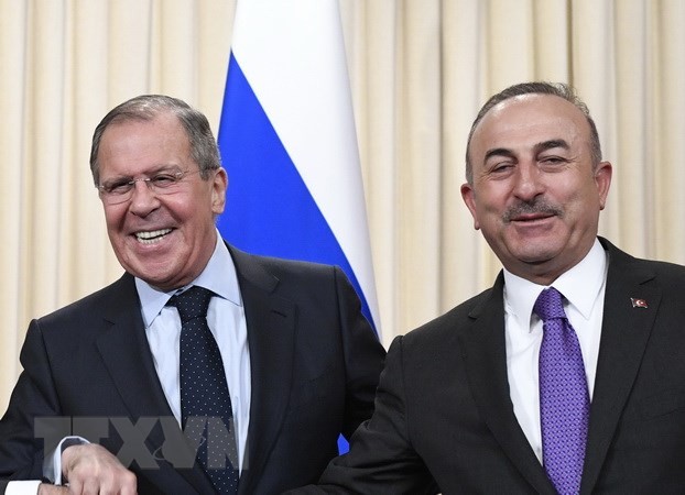 俄罗斯和土耳其承诺推动战略伙伴关系发展 - ảnh 1