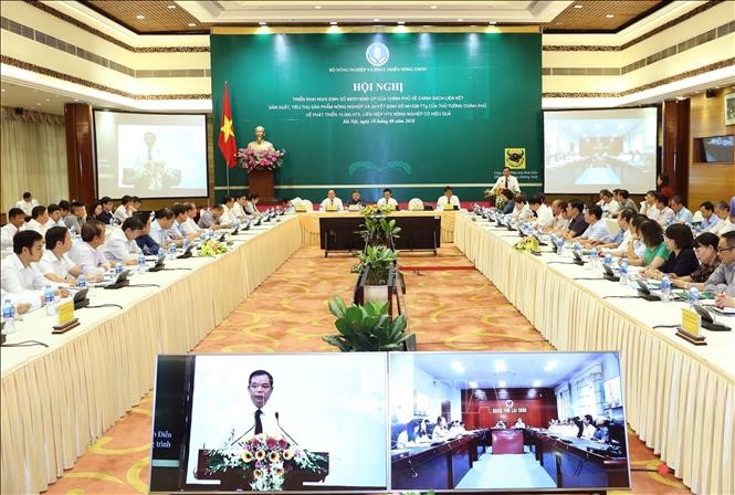 越南政府有关合作社发展政策的视频会议举行 - ảnh 1