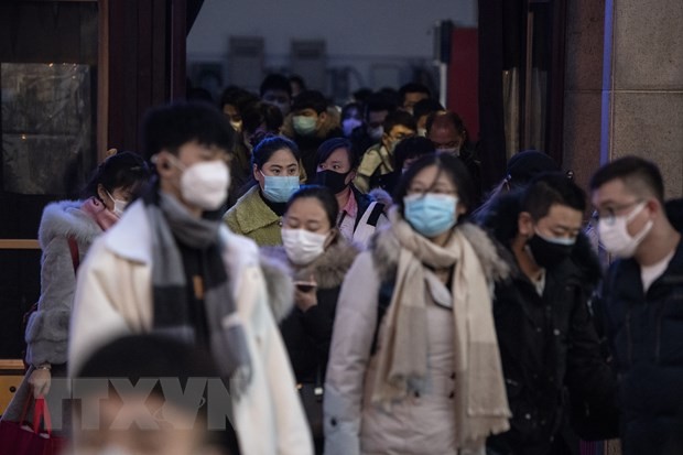 世卫组织担忧新型肺炎在中国以外人际传播 - ảnh 1