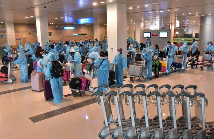 越南将在新加坡的240余名公民接回国 - ảnh 1