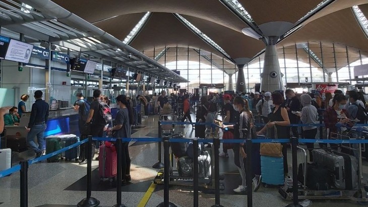 越南将滞留在马来西亚的290名公民接回国 - ảnh 1