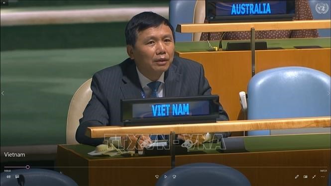 越南承诺促进发挥联合国宪章和国际法的作用 - ảnh 1