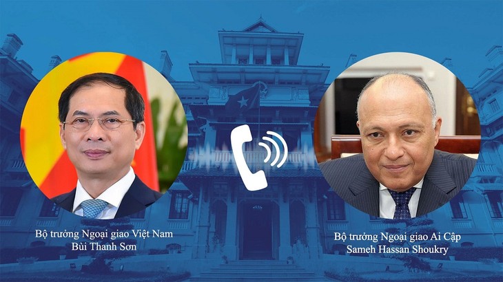 越南和埃及同意促进双边合作关系 - ảnh 1