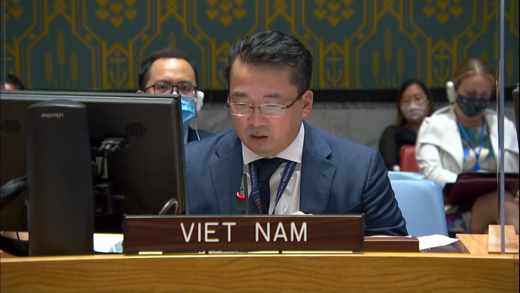 越南呼吁为苏丹获得国际金融资源提供便利 - ảnh 1