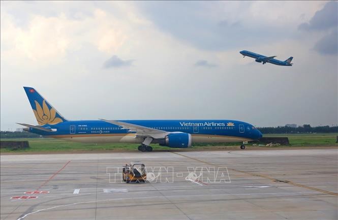 各家航空公司为将在乌克兰越南人运送回国做好准备 - ảnh 1