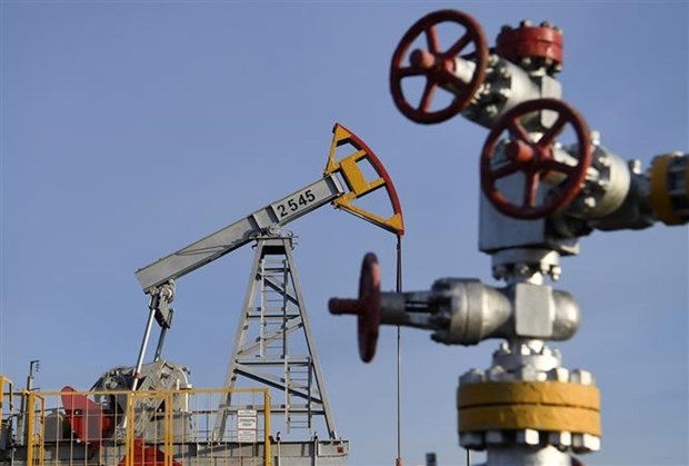 日本禁止进口俄罗斯超最高限价原油，但不包括“萨哈林2号”项目原油 - ảnh 1