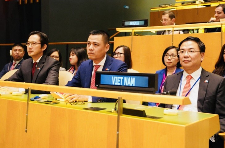 越南确立作为国际社会重要伙伴的地位 - ảnh 2