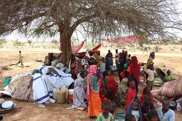 联合国：苏丹人道主义危机正在变成一场彻底的灾难 - ảnh 1