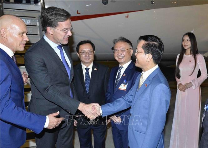 荷兰首相马克•吕特抵达河内 开始对越南进行正式访问 - ảnh 1