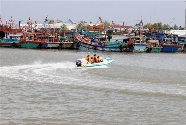 越南政府总理指导集中采取紧急措施  打击非法捕鱼 - ảnh 1