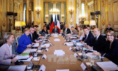 La France et l’Allemagne signent plusieurs accords de coopération - ảnh 1