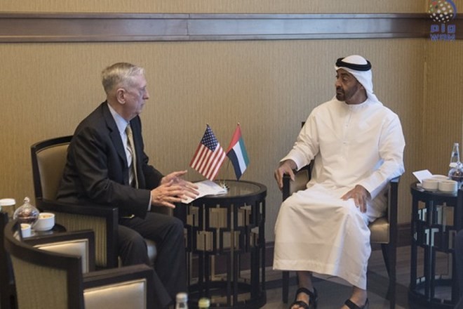 EAU – USA : Collaboration sur le renforcement de la sécurité régionale - ảnh 1