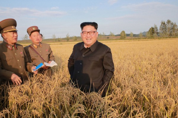  Pyongyang ne montrait  aucun signe d’intérêt» pour un dialogue - ảnh 1