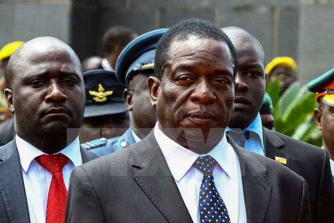 Zimbabwe : Emmerson Mnangagwa remplacera Robert Mugabe à la tête du pays - ảnh 1
