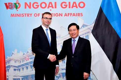 Vietnam-Estonie: Entretien entre les chefs de la diplomatie - ảnh 1