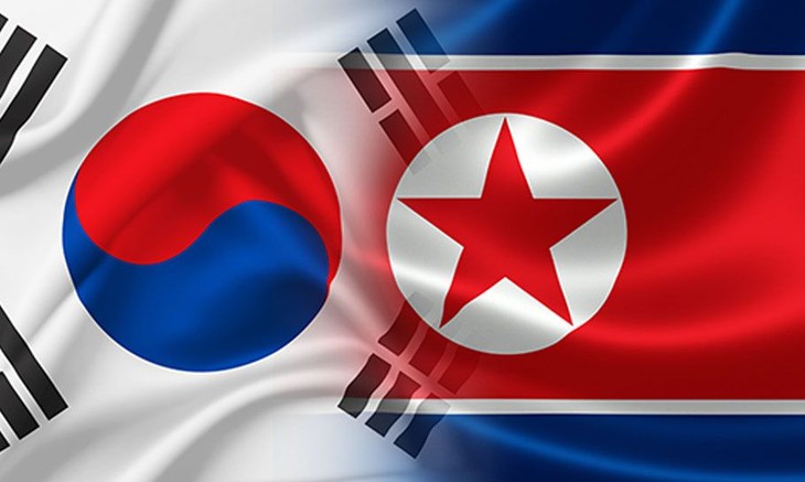 Les deux Corées vont s'entretenir lundi sur la coopération forestière - ảnh 1