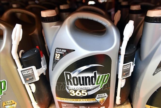 RoundUp et cancer : Monsanto condamné à payer 80 millions de dollars à un plaignant  - ảnh 1