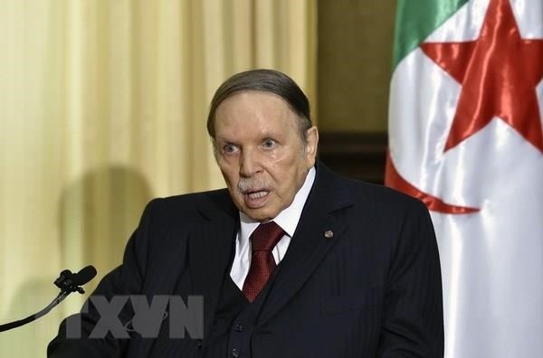 Algérie: Abdelaziz Bouteflika a remis sa démission au Conseil constitutionnel  - ảnh 1
