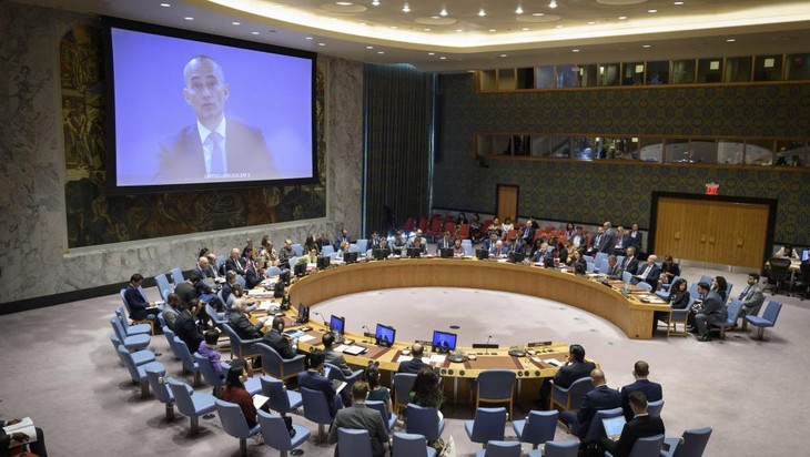 La question du Cachemire au Conseil de sécurité de l’ONU - ảnh 1