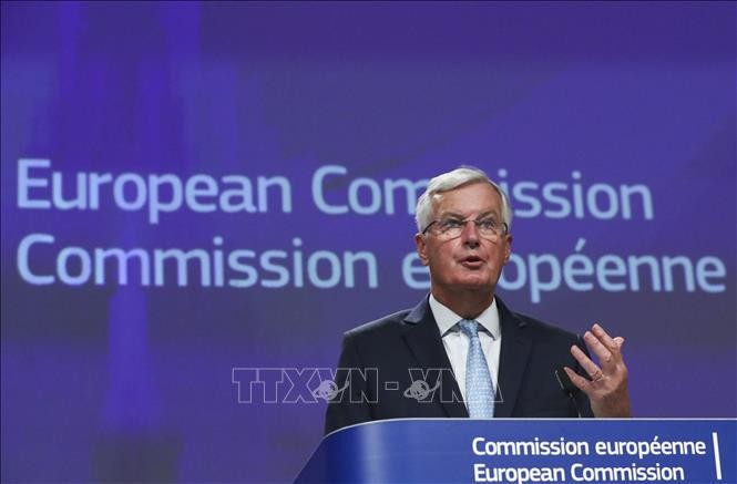 Brexit: L'UE accélère ses préparatifs pour un “no-deal”, selon Barnier - ảnh 1