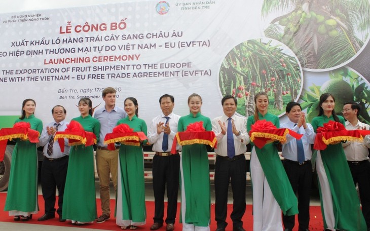 EVFTA : exportation du premier lot de fruits vietnamiens vers l'UE  - ảnh 1