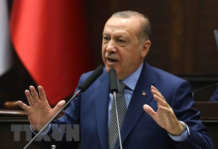Erdogan appelle au dialogue avec l’Europe - ảnh 1