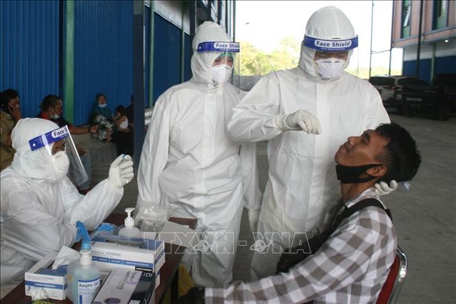 Coronavirus: le point sur la pandémie dans le monde - ảnh 1