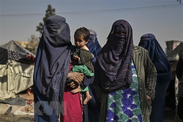 Afghanistan: les talibans recommencent à délivrer des passeports - ảnh 1
