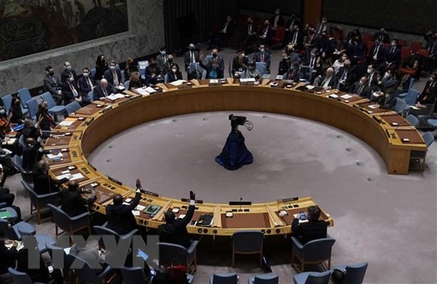 Une nouvelle réunion du Conseil de sécurité de l'ONU dimanche pour saisir l'Assemblée générale - ảnh 1
