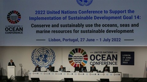 L'ONU déclare un “état d'urgence des océans”, à l'ouverture d'une conférence mondiale à Lisbonne - ảnh 1