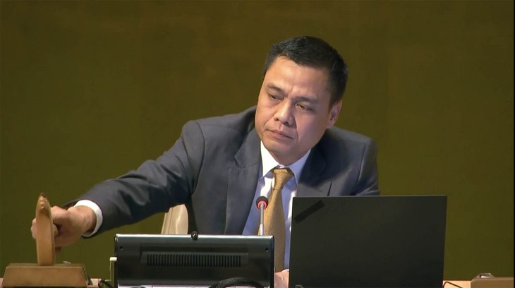Le Vietnam et d'autres pays en appellent à la Cour internationale de justice sur la question du changement climatique - ảnh 1