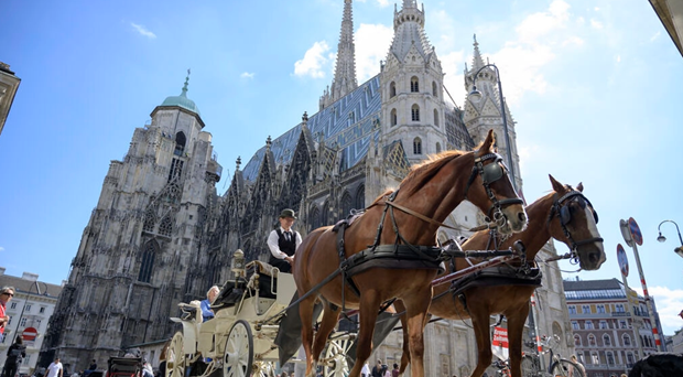 Vienne sacrée ville la plus agréable au monde - ảnh 1