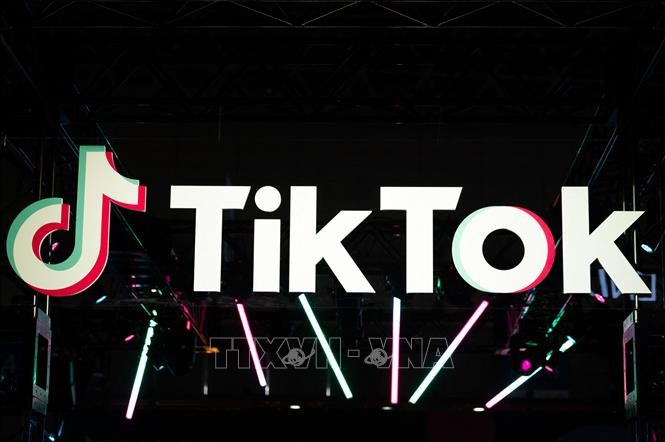 Une commission parlementaire veut imposer un ultimatum à TikTok en France - ảnh 1
