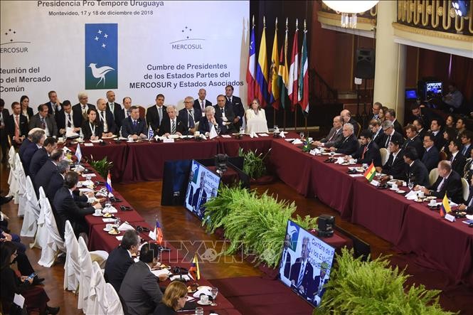 Un sommet UE-Amérique latine lundi et mardi à Bruxelles - ảnh 1