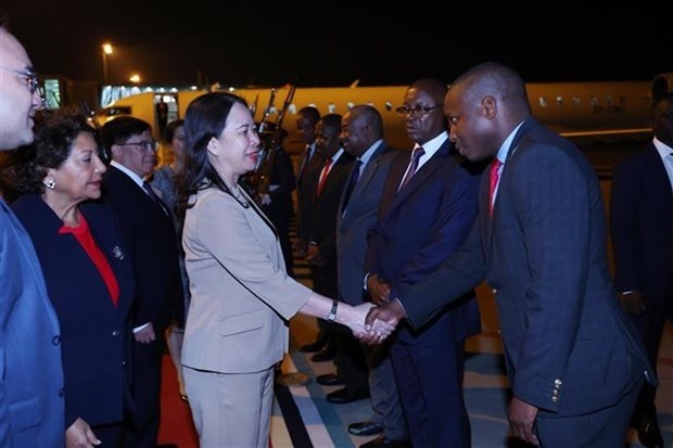 Renforcer les liens historiques entre le Vietnam et le Mozambique - ảnh 1
