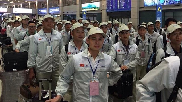 Les travailleurs vietnamiens convoités à l'étranger - ảnh 1