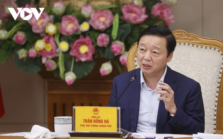 Trân Hông Hà plaide pour une gestion plus efficace de l’industrie pharmaceutique - ảnh 1