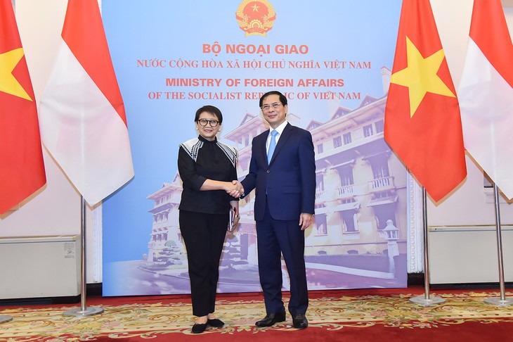 Bùi Thanh Son co-préside la cinquième réunion du comité de coopération Vietnam-Indonésie - ảnh 1