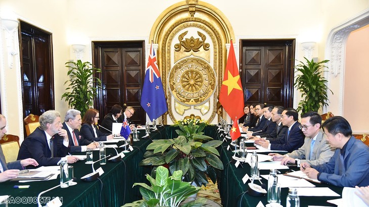 Conférence des ministres des Affaires étrangères Vietnam-Nouvelle-Zélande - ảnh 1