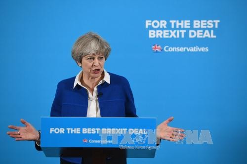 Britain says no EU exit deal unless future relationship taken into account - ảnh 1