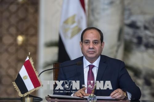 Egyptian President Sisi wins second term - ảnh 1