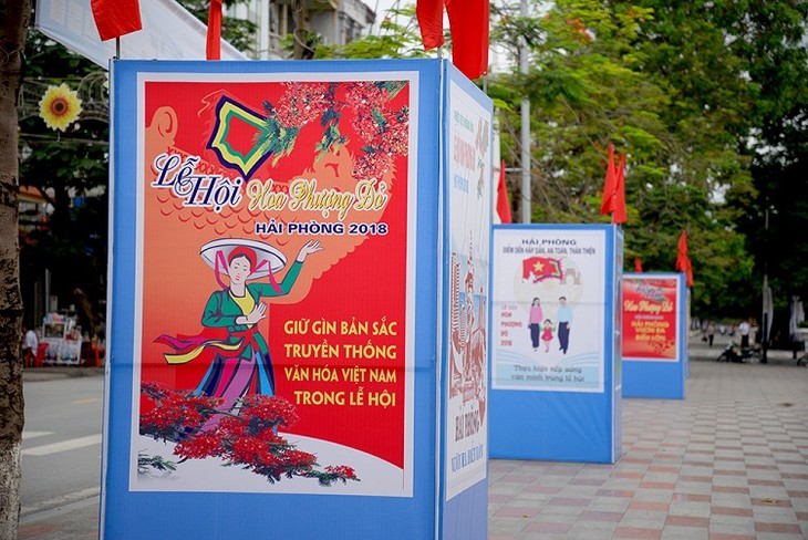 Red Flamboyant Flower Festival 2018 underway in Hai Phong - ảnh 2
