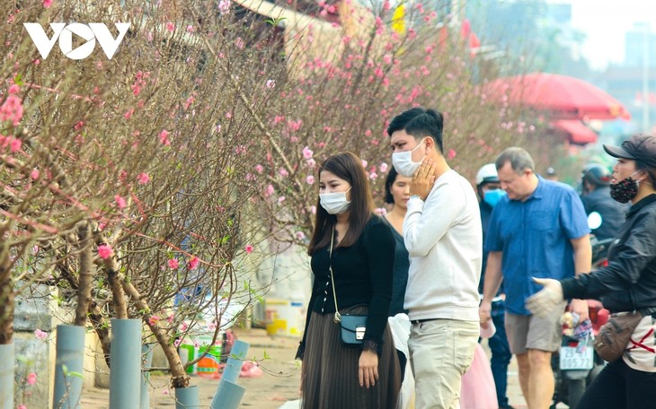 Bustling flower market ahead of Lunar New Year holiday - ảnh 4