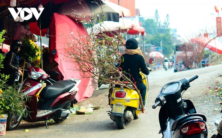 Bustling flower market ahead of Lunar New Year holiday - ảnh 8