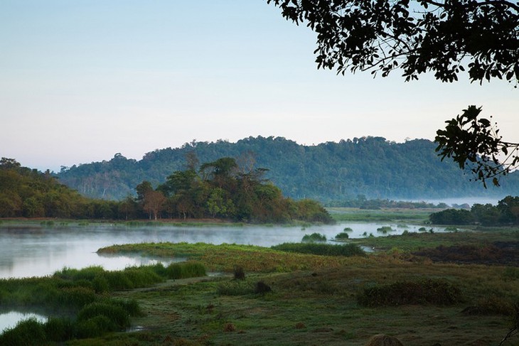 Travel website reveals top 10 best Vietnamese national parks - ảnh 4