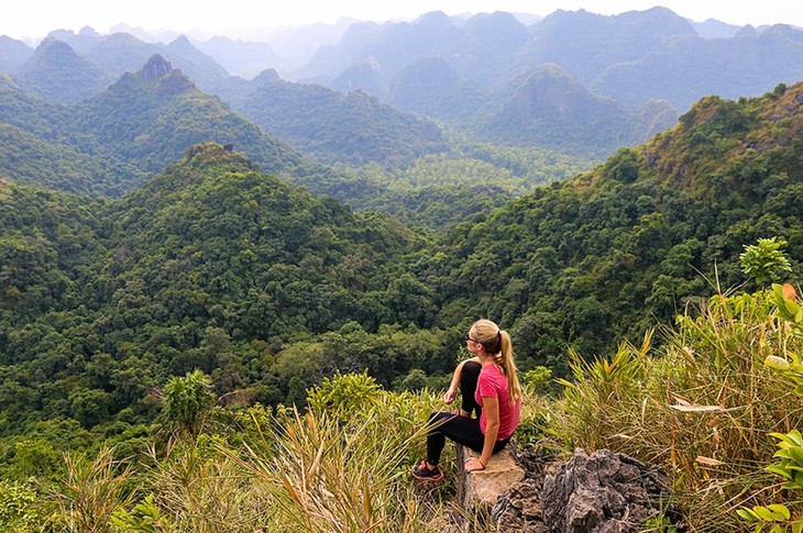Travel website reveals top 10 best Vietnamese national parks - ảnh 5
