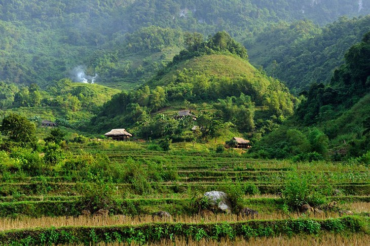 Travel website reveals top 10 best Vietnamese national parks - ảnh 8