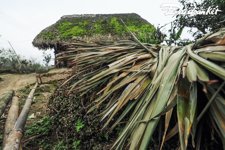 Le village Xa Phin à Hà Giang - ảnh 10