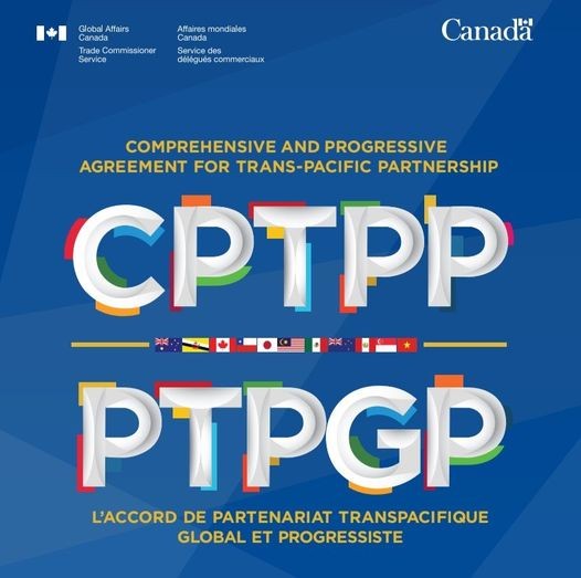 Vietnam - Canada: un exemple de réussite grâce au CPTPP - ảnh 1